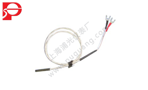 WRNK-231鎧裝熱電偶的工作原理及特點(diǎn)